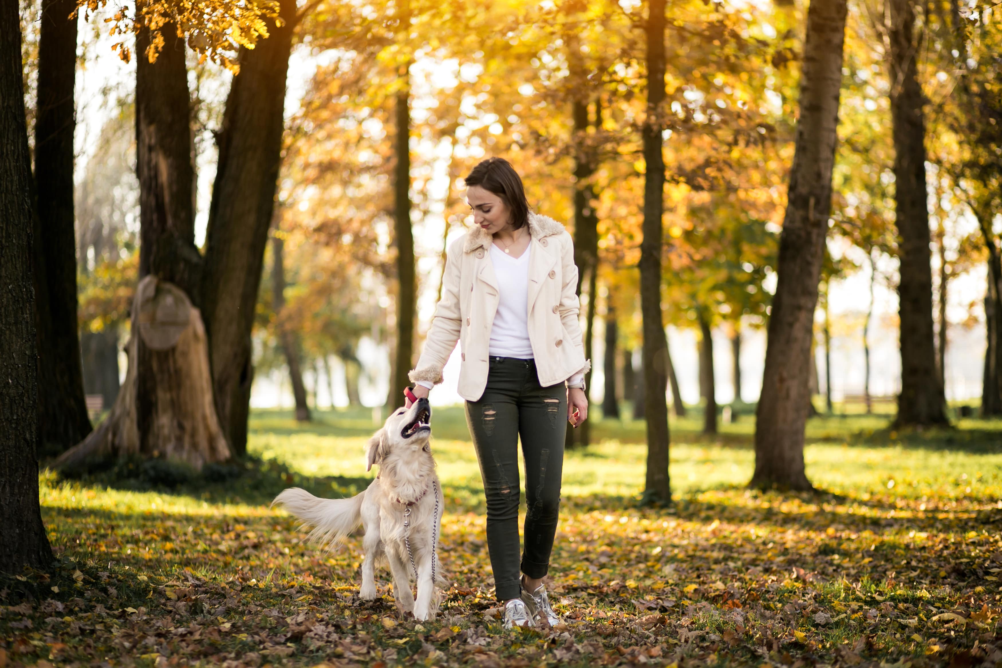 Pet insurance for Dogs - The top 16 most expensive dog breeds in the UK revealed
