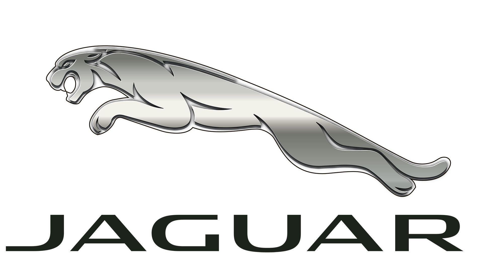 jaguar-white-background-hq