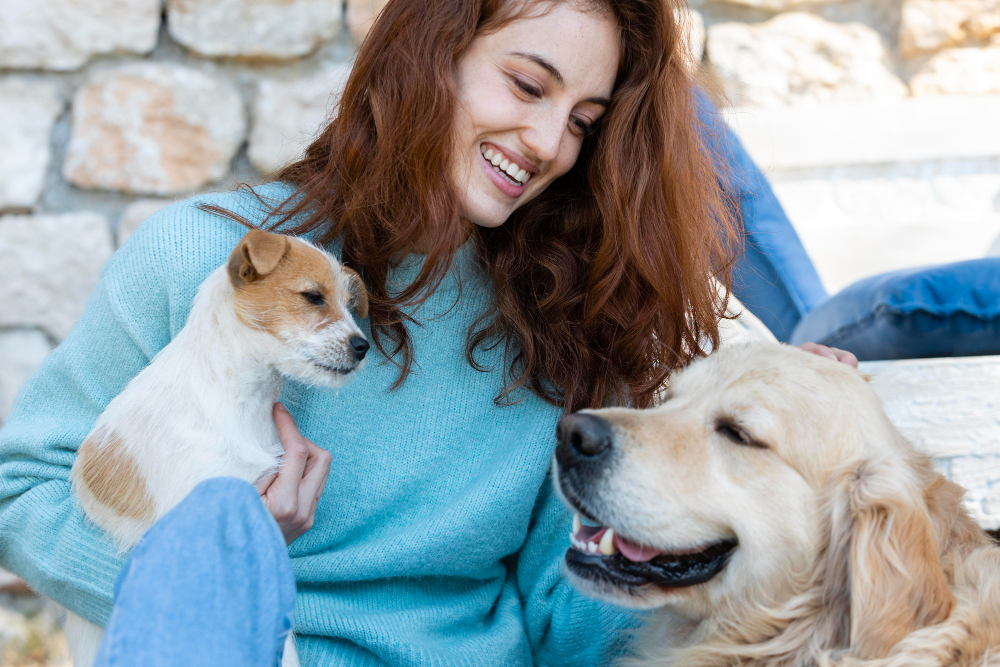 petinsurance