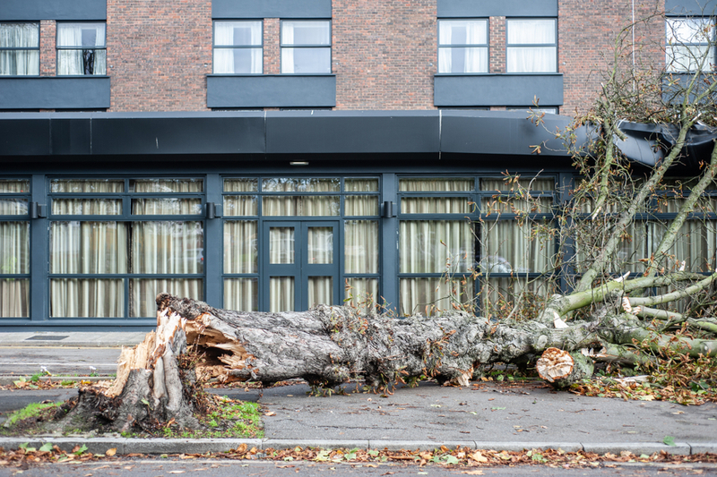 Can I claim on my insurance for storm damage?